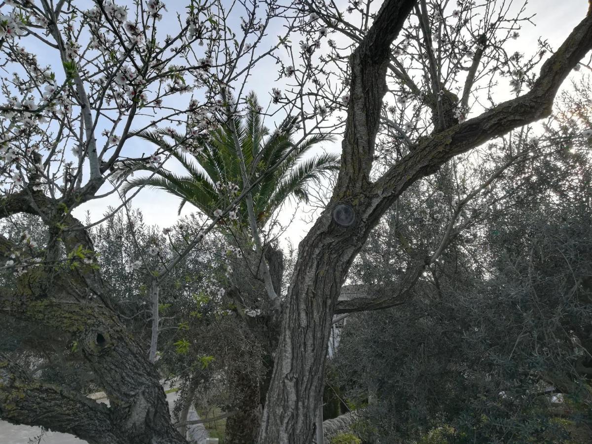 Casa Degli Avi Don Neli, Immersa Nella Natura Módica Exterior foto